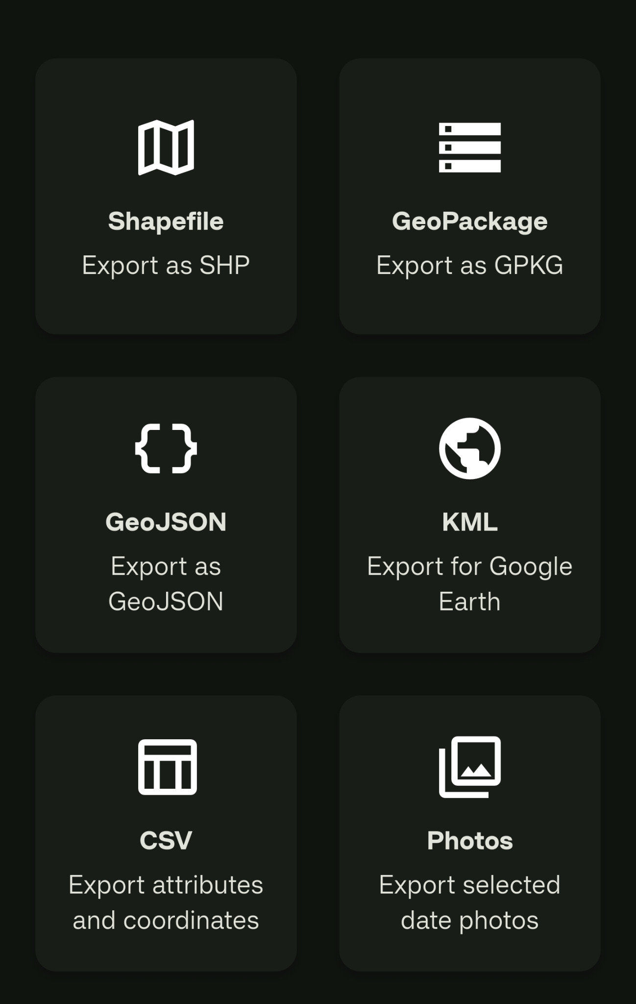GeoFoundry One export options